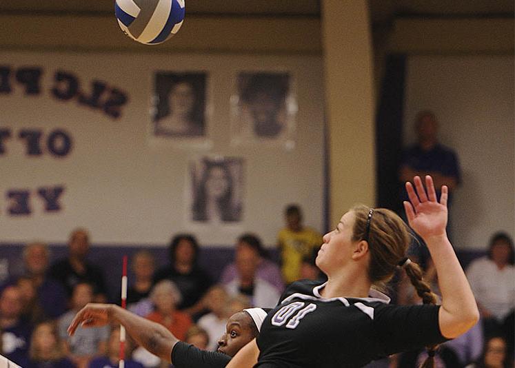 SFA Volleyball